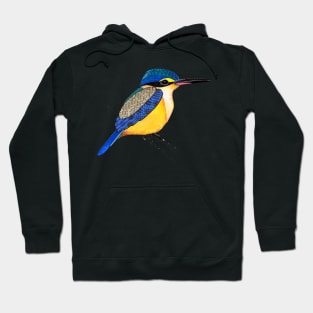 Sacred Kingfisher Hoodie